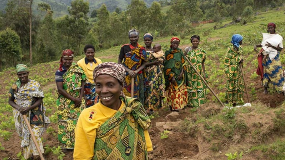 Women's land rights: How an NGO is breaking barriers in Benin