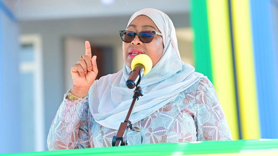 Tanzania’s President Hassan reshuffles cabinet