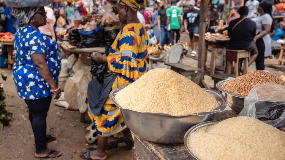Shinkafar da ake nomawa a Nijeriya na yi wa 'yan kasar kadan — Rahoton AFEX