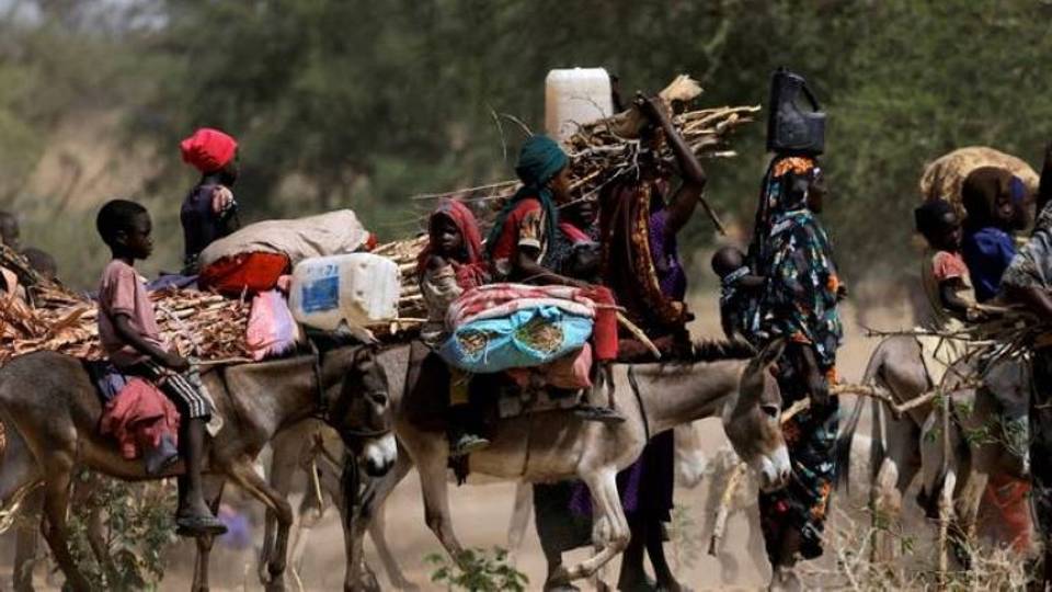 Sudan's war: Fresh violence erupts in el-Fasher city