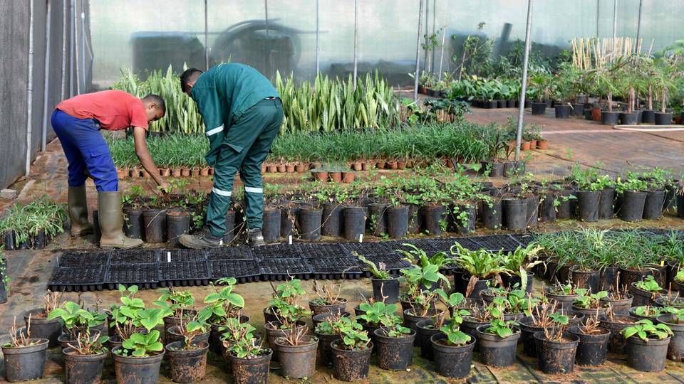 Au Maroc, une école de jardinage fait rimer inclusion et sensibilisation à l'écologie