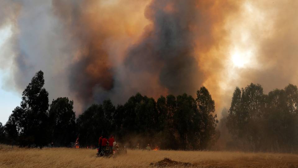 Feux de forêt: une année 2023 dévastatrice