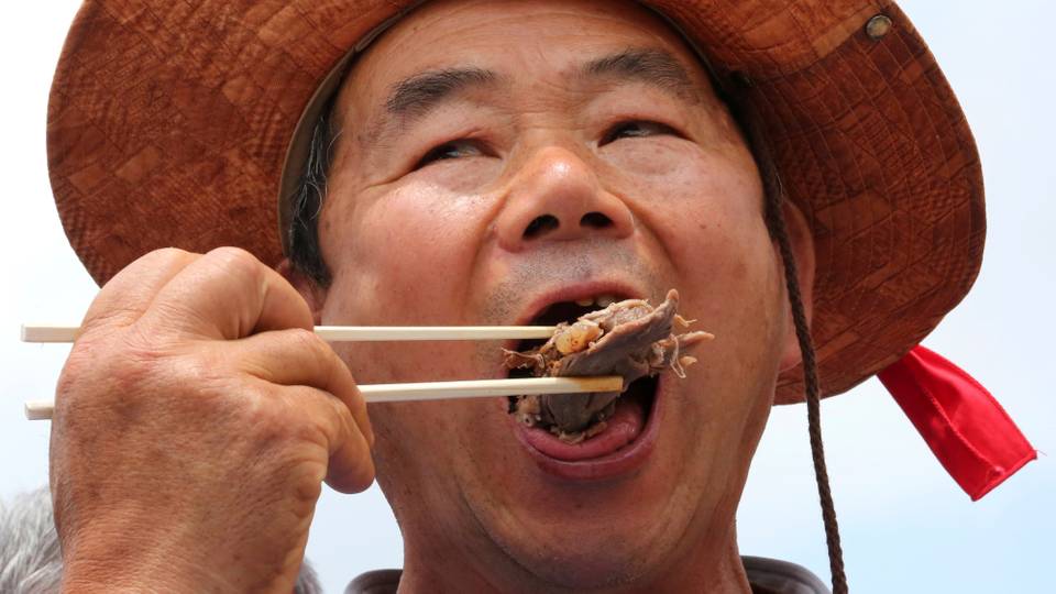 South Korea passes legislation to ban consumption of dog meat