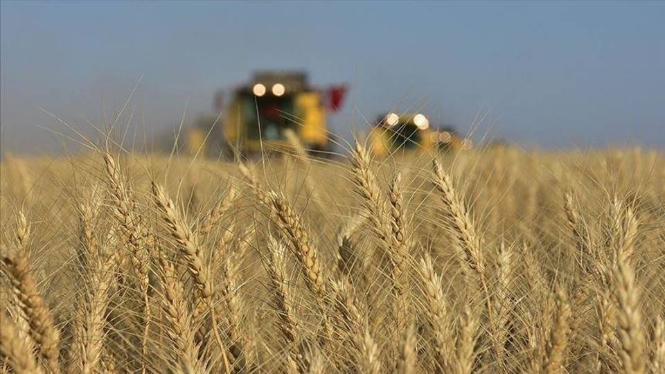 Russia delivers 200,000 tonnes of grain to six African countries