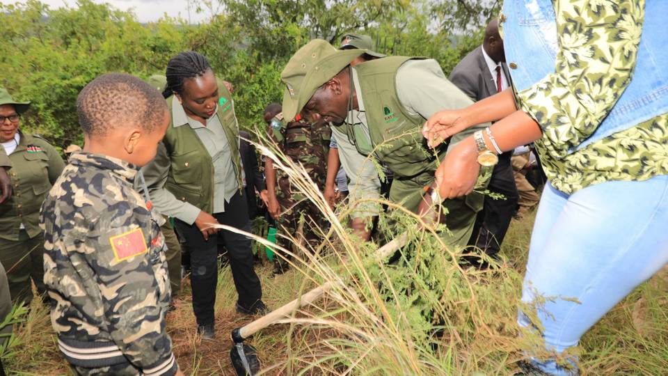 Kenya plants trees to remember flood victims