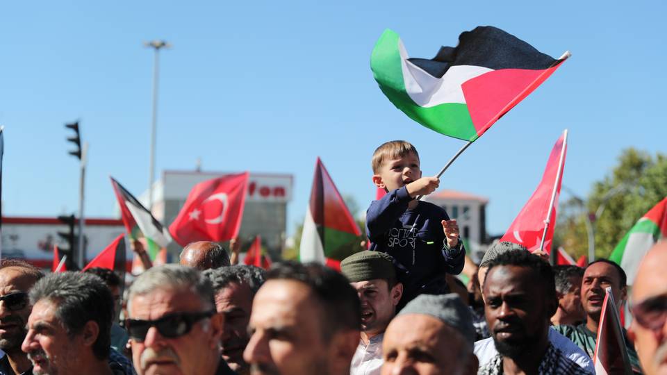 Thousands across Türkiye rally in pro-Palestine demonstrations