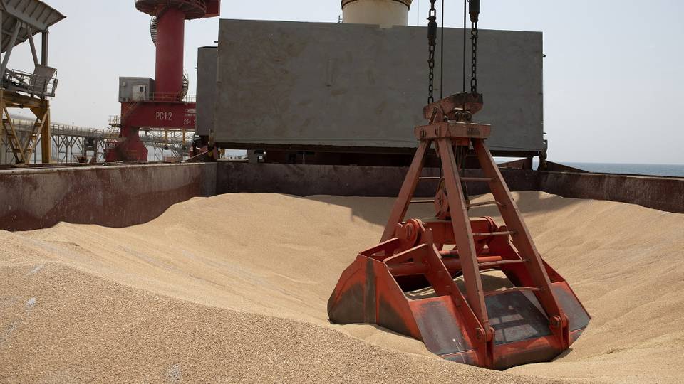 Russia starts sending free grains to Africa