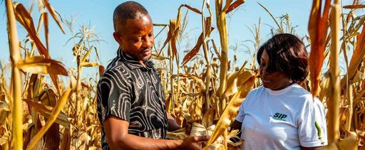 Why the African Development Fund matters now more than ever