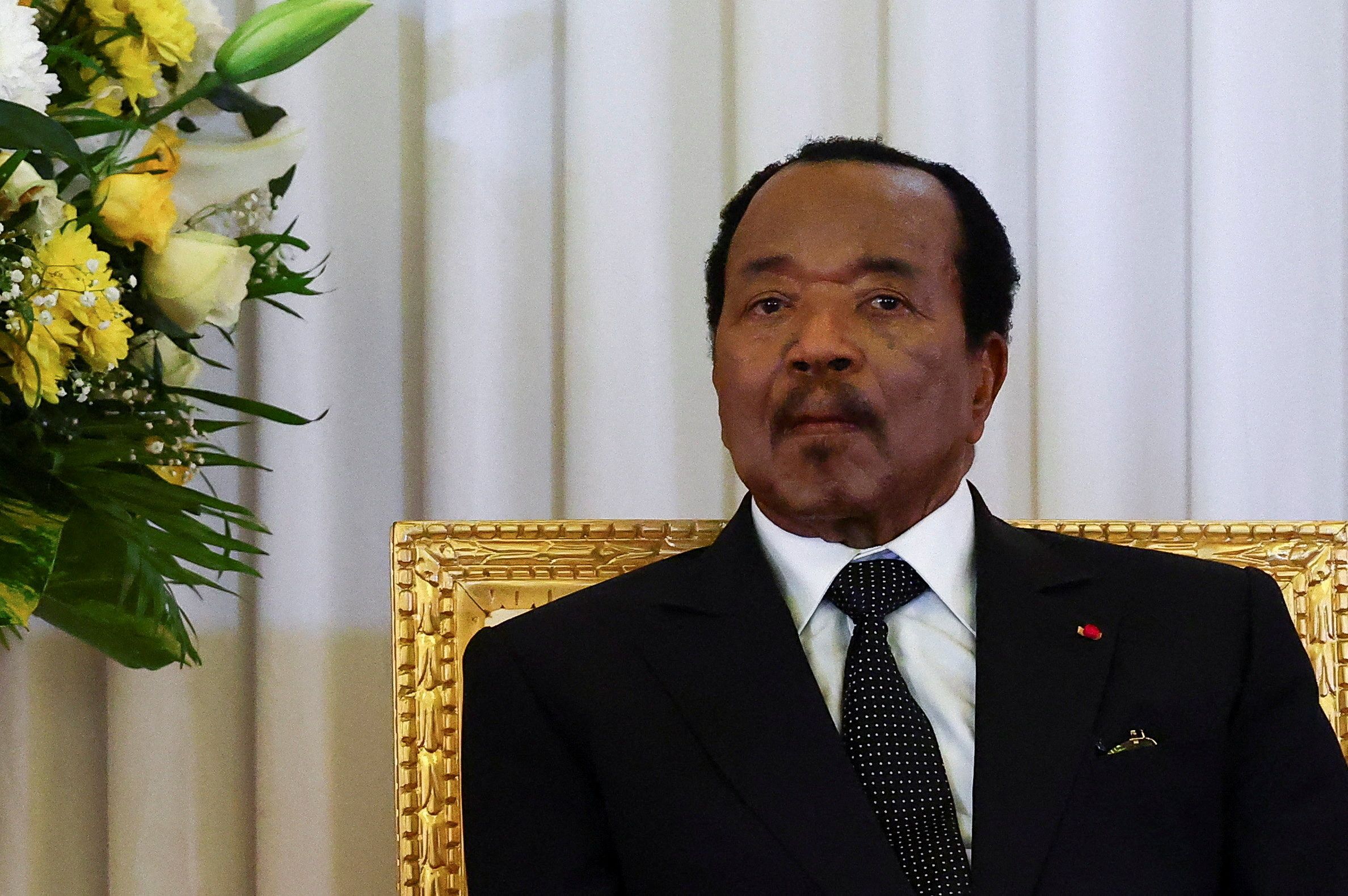 Cameroon politics: Where is President Paul Biya?