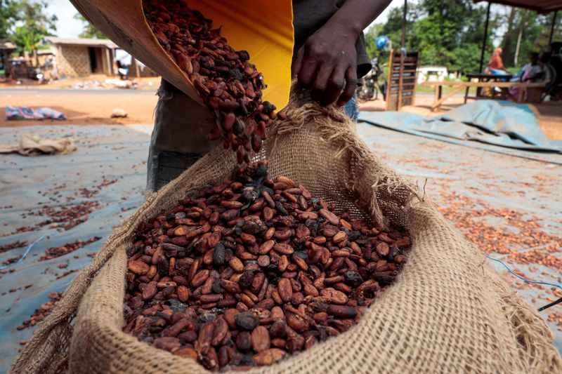 Ghana parliament approves 20-year jail term for cocoa farm conversions