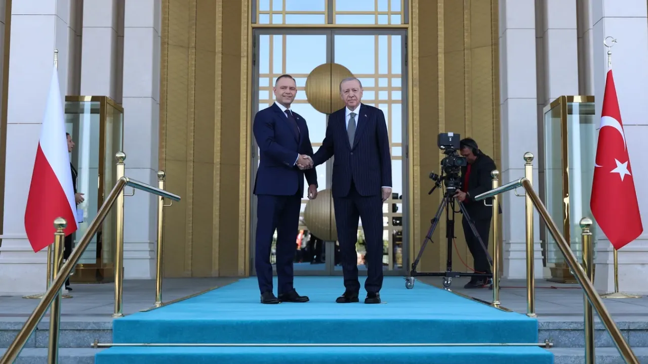 Türkiye, Poland eye deepening strategic partnership ahead of NATO Summit