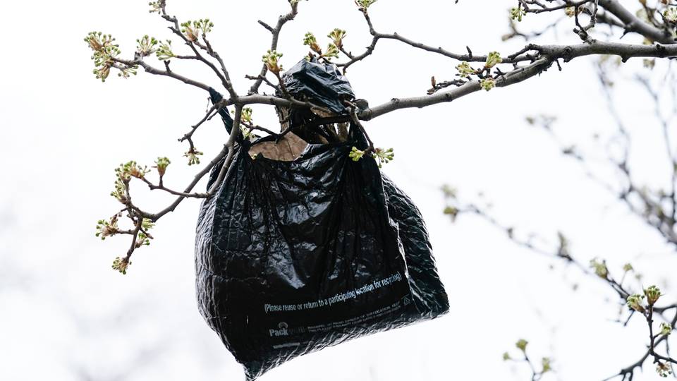 Single-use plastics banned in Nigeria's Lagos City