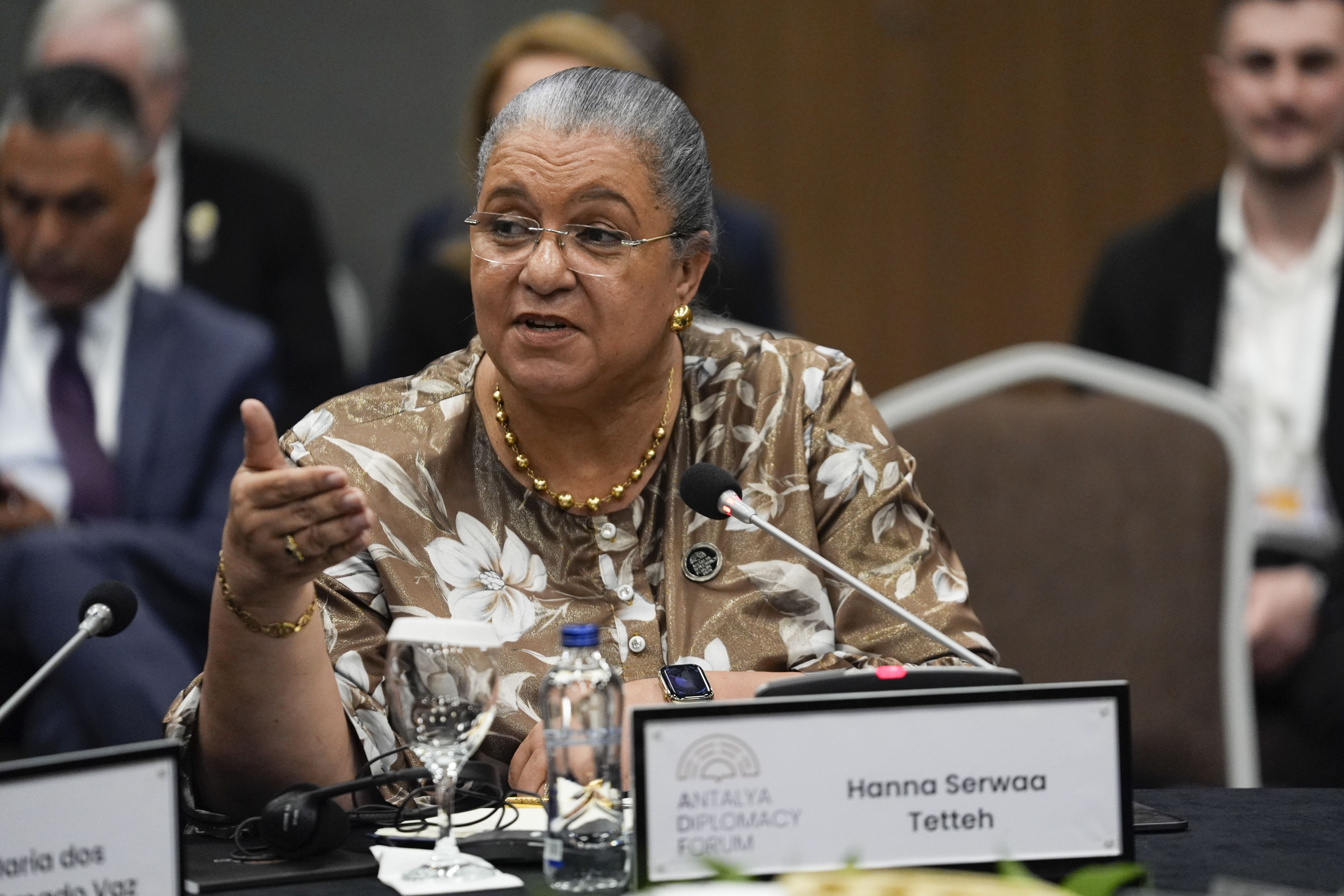 UN envoy calls for free trade area, massive investment in Africa