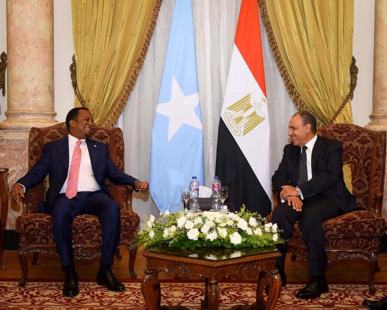 La Somalie et l'Égypte entendent renforcer la coopération face aux enjeux dans la Corne de l’Afrique