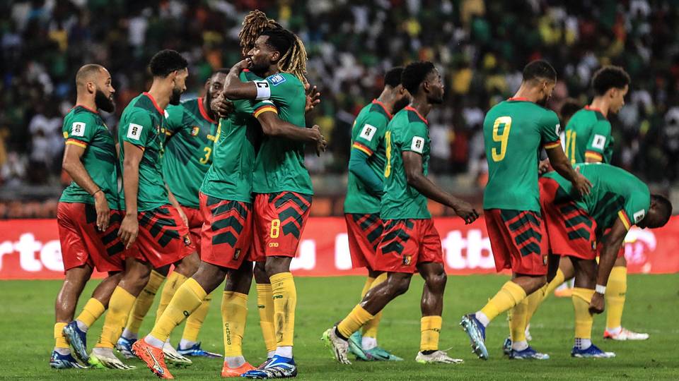 Indomitable Lions: Cameroon minister defends hiring of coach
