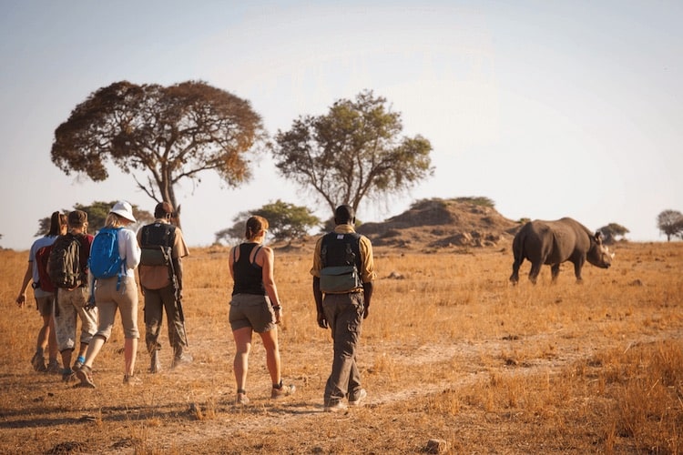 Africa Leads Global Tourism Growth in 2025