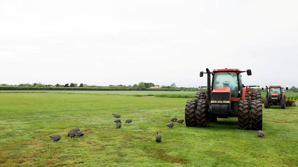Zimbabwe identifies over 500 recipients of farm seizure compensation