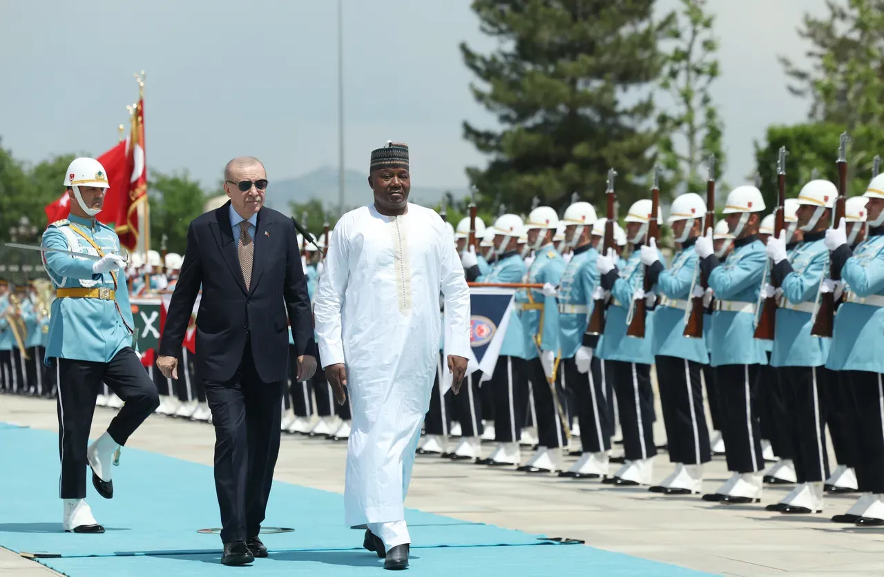 Türkiye's Erdogan hosts Niger's Tiani in Ankara to discuss bilateral ties