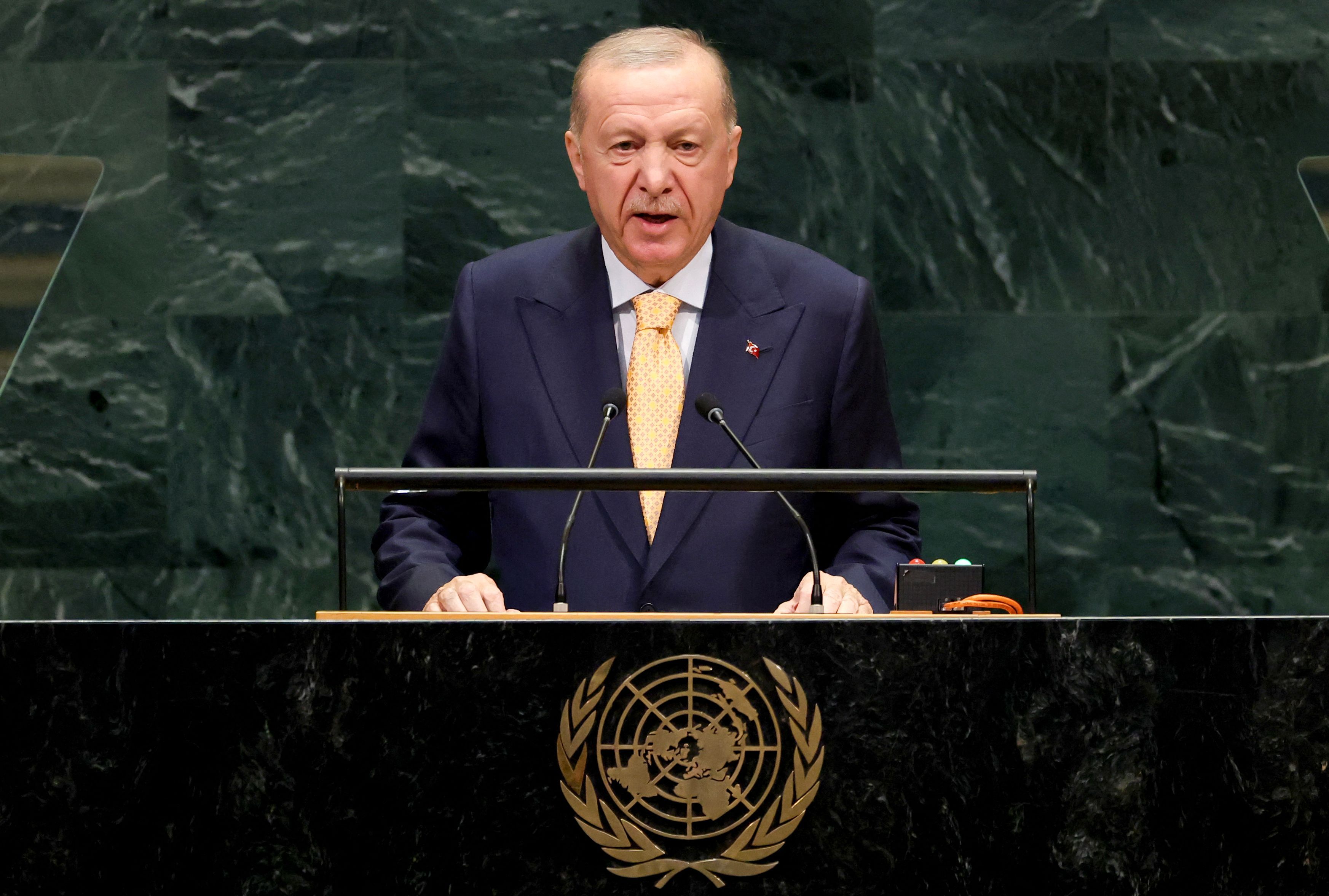Turkiyya za ta ci gaba da magana kan Falasɗinawa: Erdogan