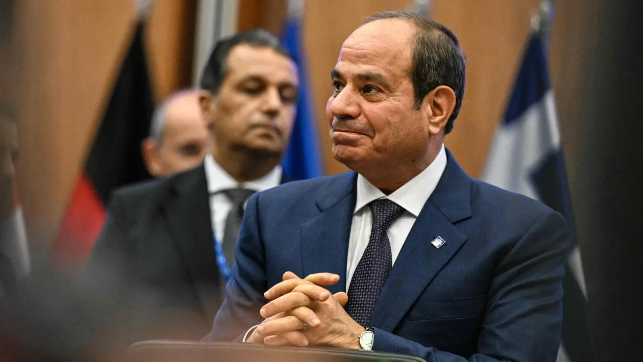 Egypt's president rejects foreign interference in African affairs