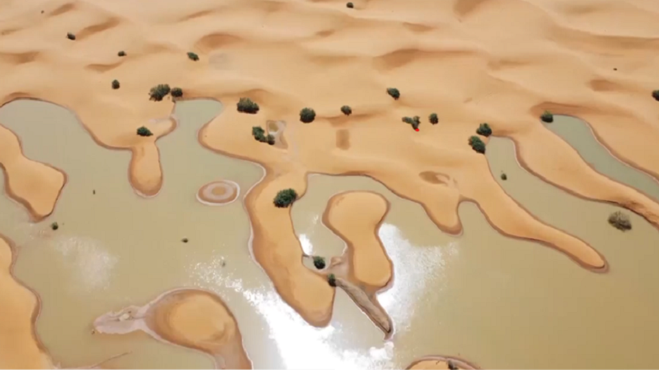 Yadda ruwan sama ya sauya yanayin hamadar Sahara