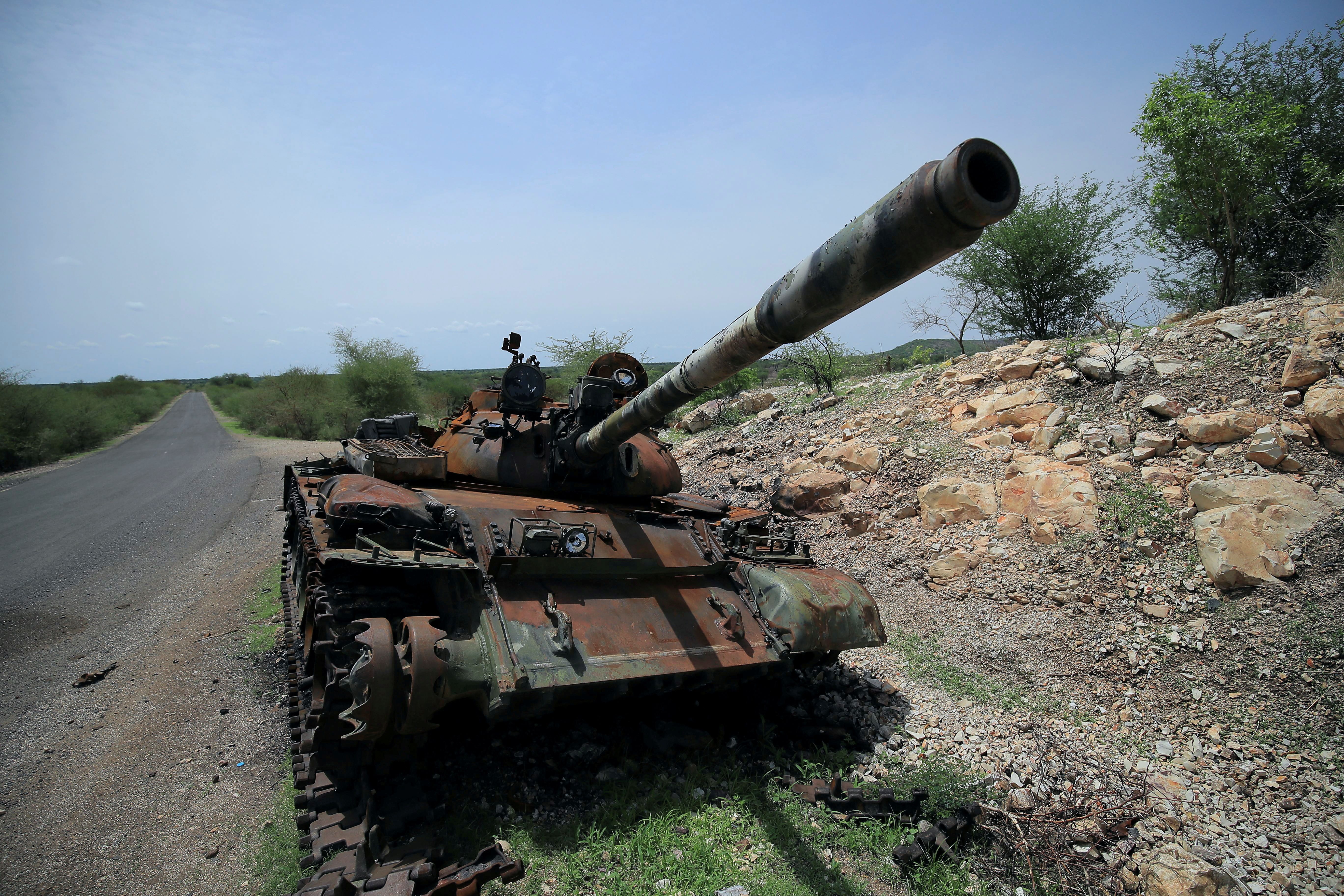 Seven Ethiopian armed groups form new alliance