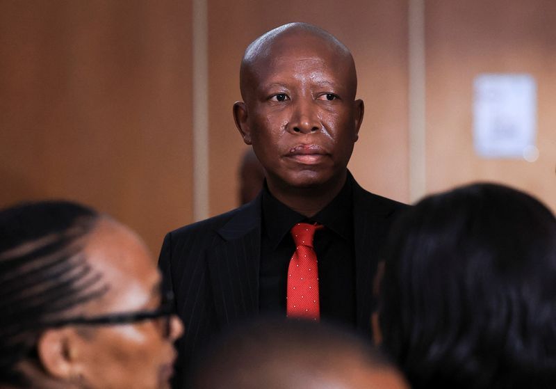South Africa's Julius Malema jailed for five years for firing gun at rally