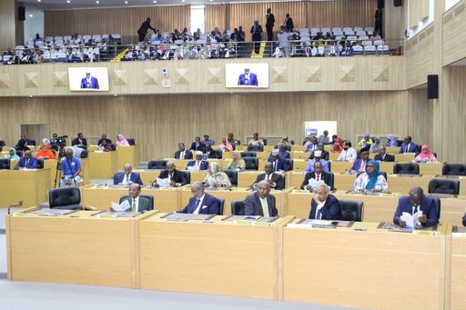 Djibouti sets stage for constitutional changes ahead of 2026 presidential polls