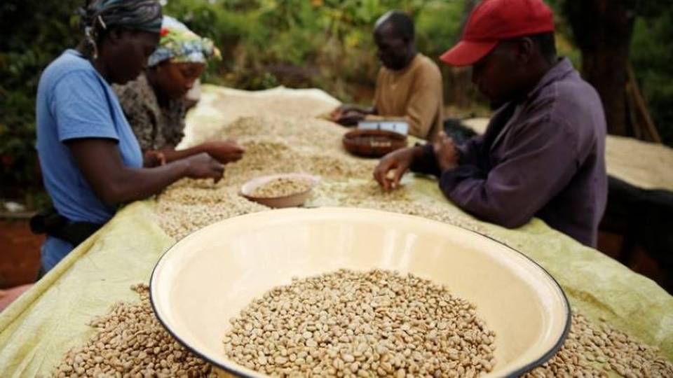 Comment l'Afrique résiste discrètement à la tempête de l'AGOA déclenchée par Washington