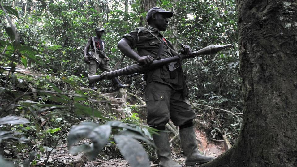 DR Congo prohibits soldiers from contacting FDLR rebels