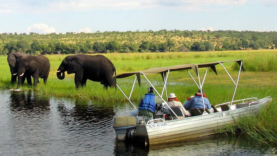 Namibia culls wildlife to feed people impacted by drought