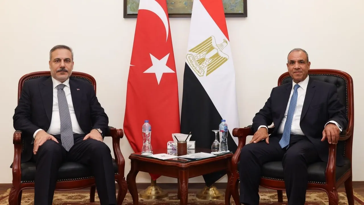 Türkiye, Egypt seek stronger regional coordination: Fidan