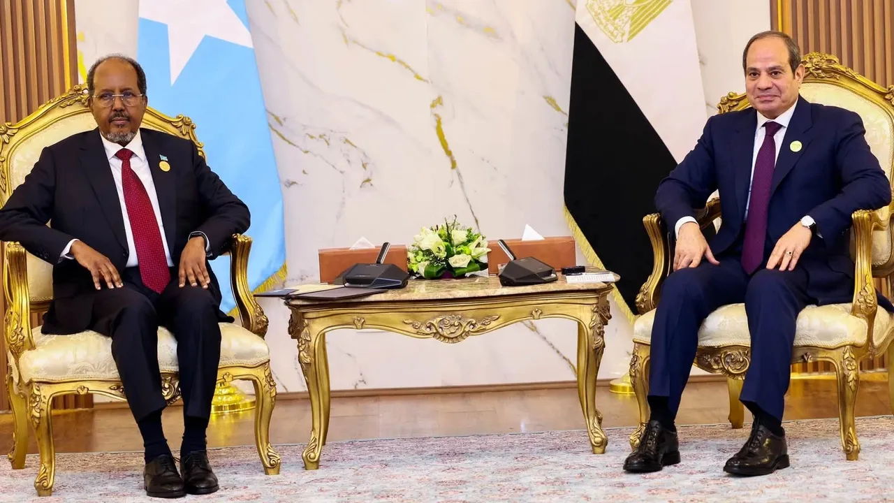 L'Éthiopie au menu d'un sommet entre l'Érythrée, la Somalie, le Soudan et l'Égypte