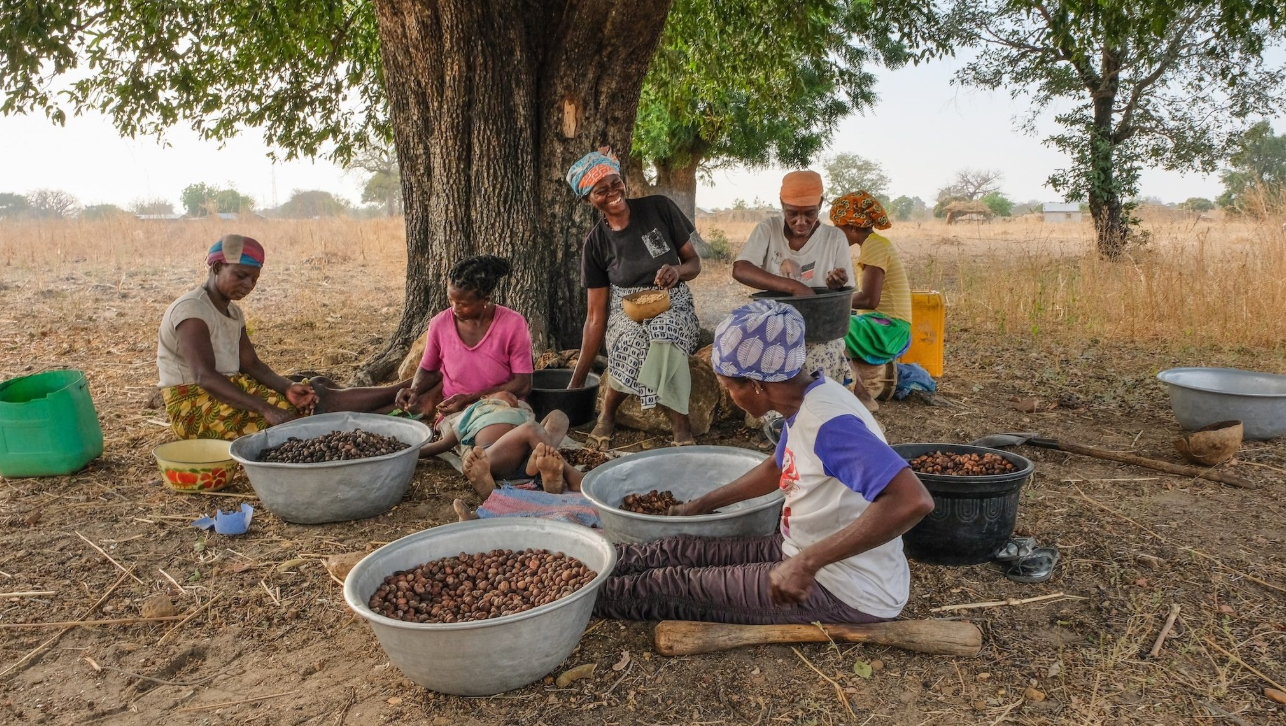 Qui profite vraiment du karité ? Les travailleurs du Ghana sont en train de changer la réponse
