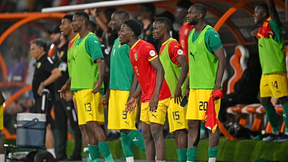 AFCON 2023: Guinea appeals to fans to celebrate 'carefully'