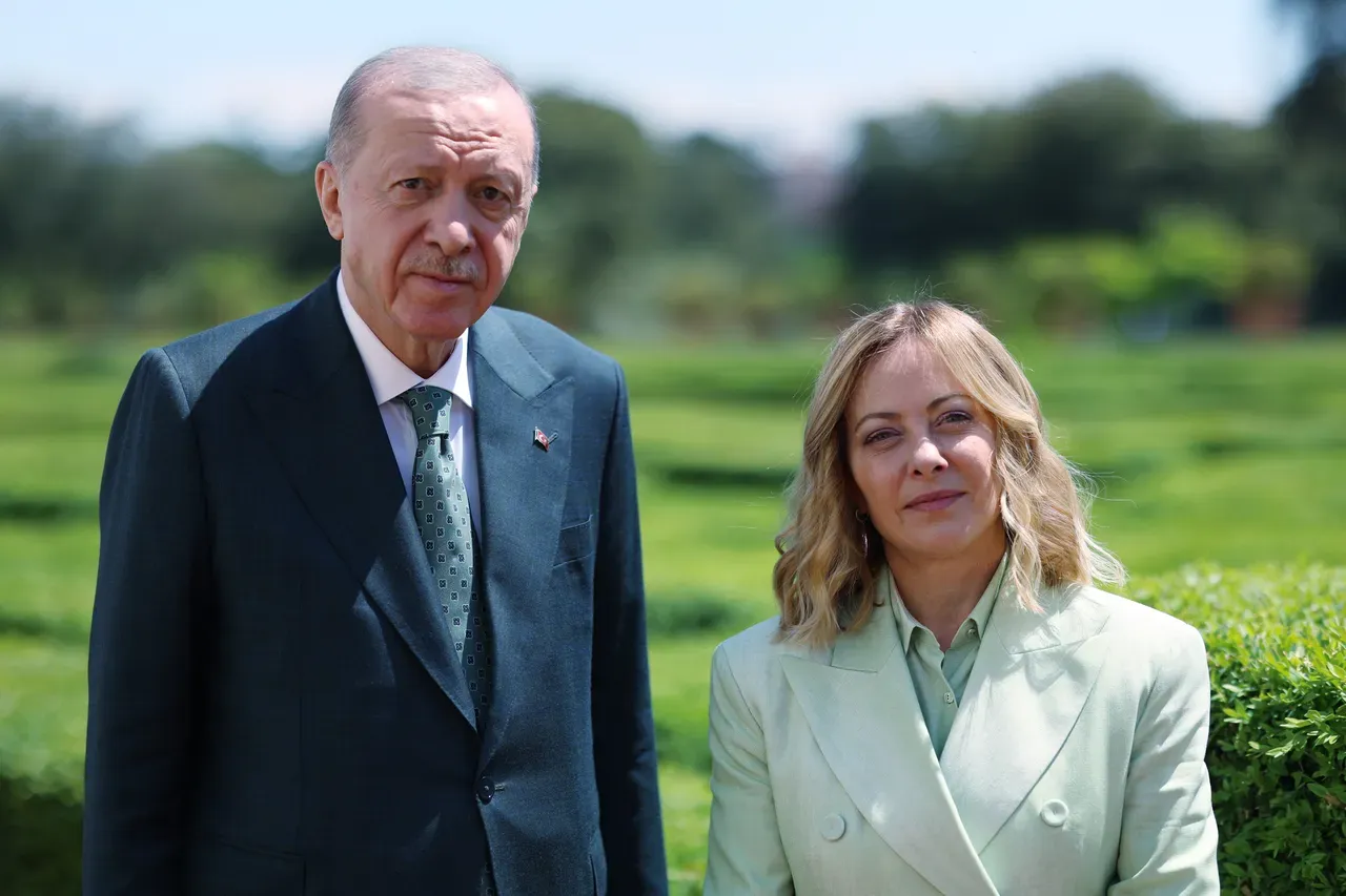 Erdogan na Meloni wajadili kuimarisha ushirikiano wa ulinzi kabla ya mkutano wa NATO jijini Ankara