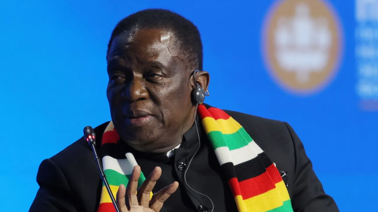 President Mnangagawa promotes son in Zimbabwe's military