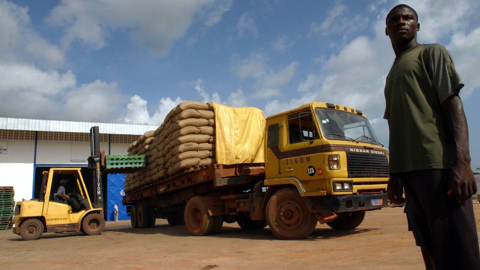 Côte d'Ivoire : Des responsables de lutte contre le trafic de cacao accusés de contrebande