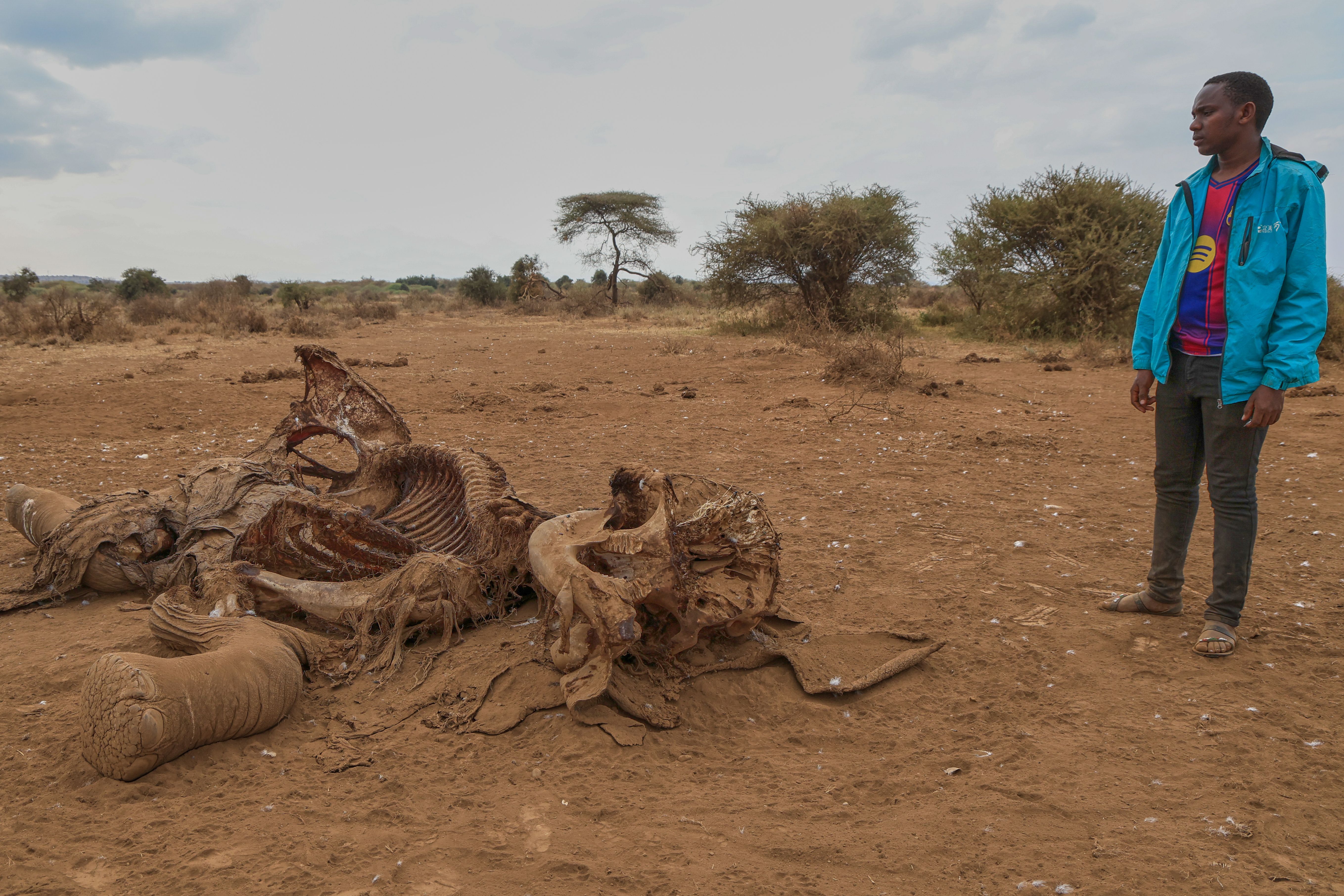 Migogoro ya wanyamapori na binadamu