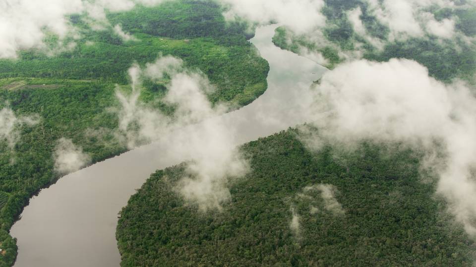 Africa Development Bank gives Cameroon $80m loan for bridge