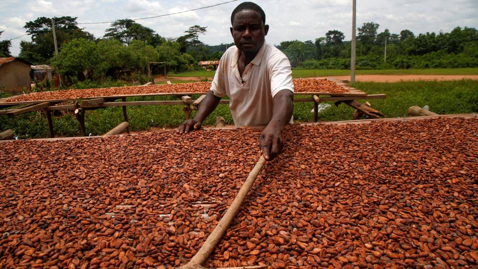 Côte d’Ivoire : Les routes endommagées par la pluie ralentissent les arrivées de cacao dans les ports