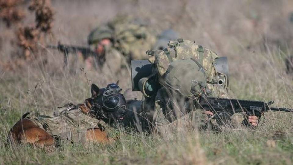 We will respond with equal force to PKK attacks — Turkish defence ministry