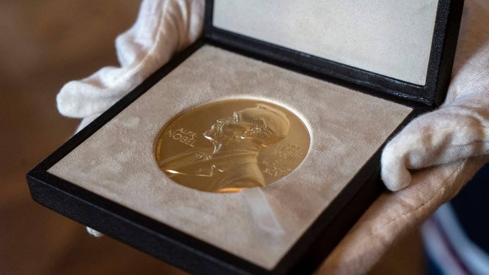 Nobel prize: US duo awarded for gene breakthrough