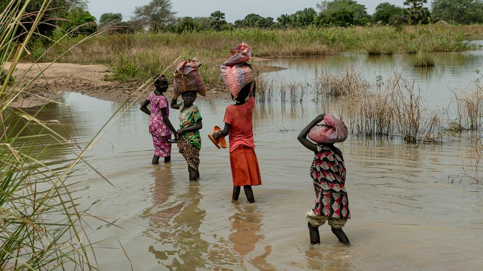 Floods in South Sudan affect 1.4m people as hospitals overwhelmed - UN