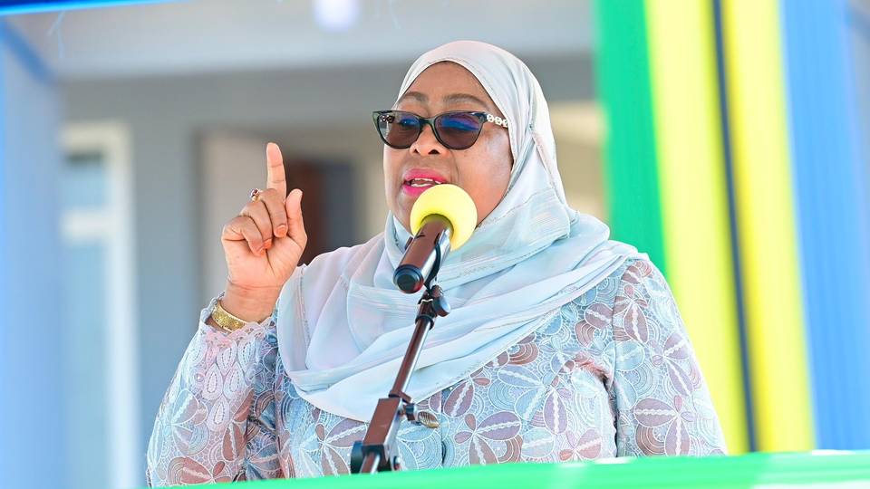 Tanzanian President Suluhu Hassan sacks ministers