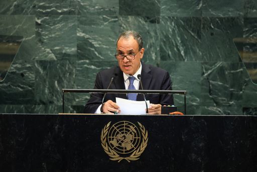 Misri yaitisha mkutano wa dharura wa AU kupinga uingiliaji wa Israel katika masuala ya Somalia