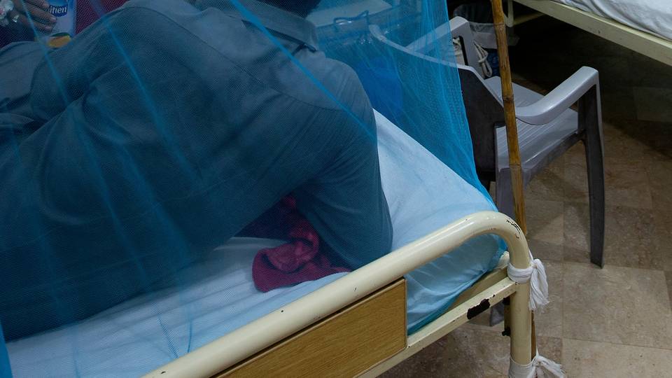 CAR records 'unprecedented' dengue outbreak