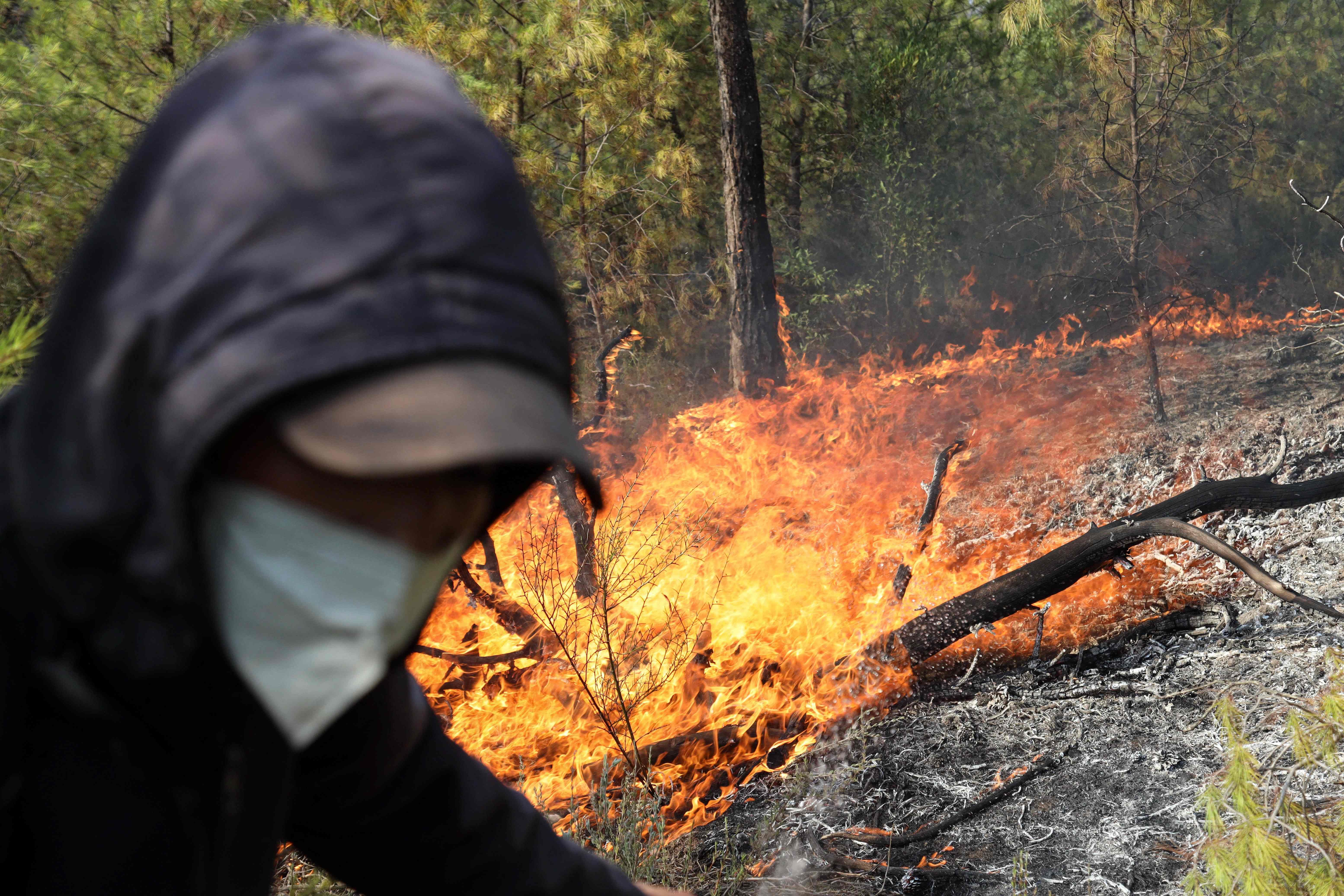 Algérie : au moins 58 incendies déclarés dans la vague de chaleur que connait le pays
