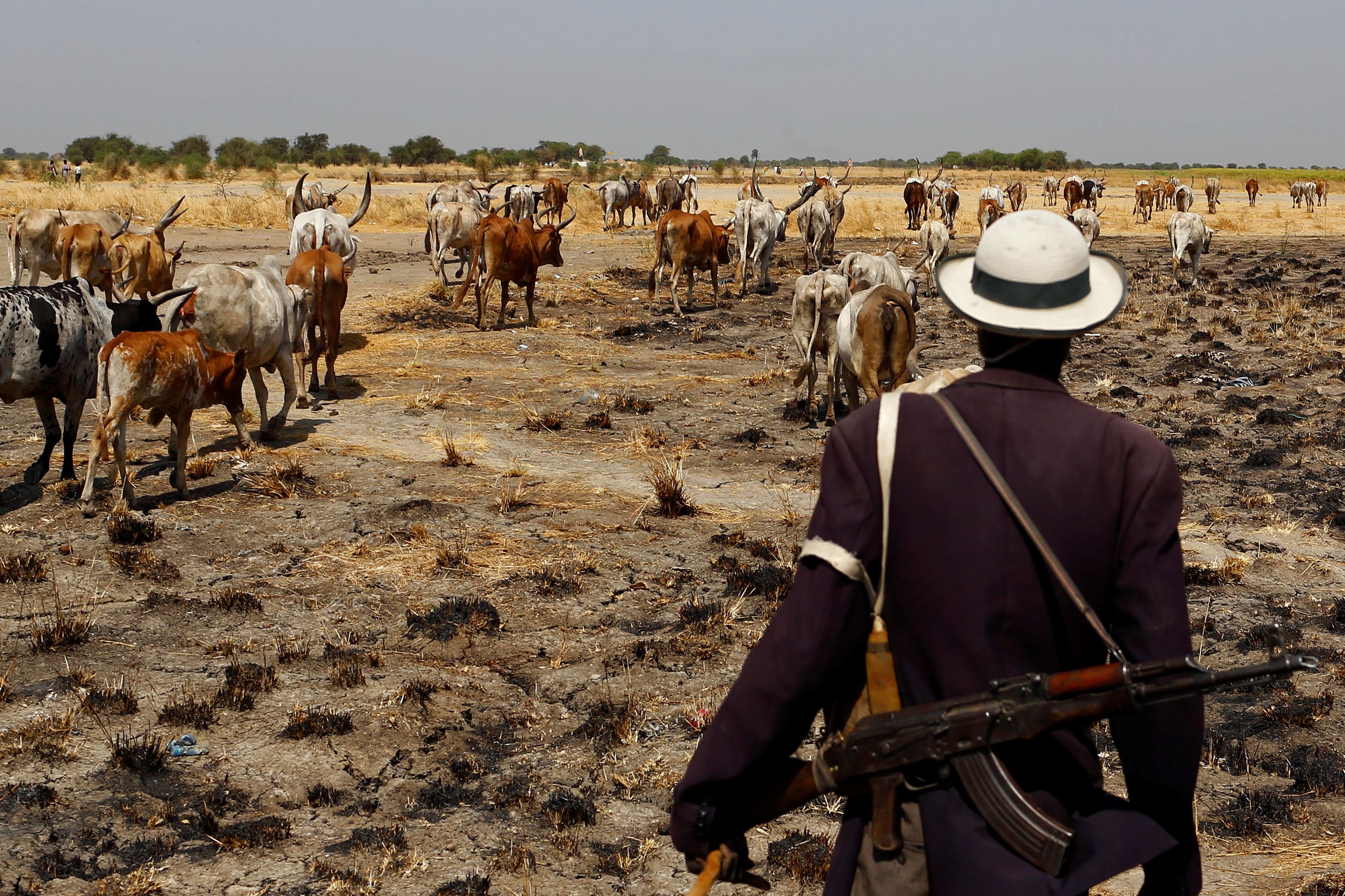South Sudan cattle raid in Warrap state claims 49 lives, dozens wounded