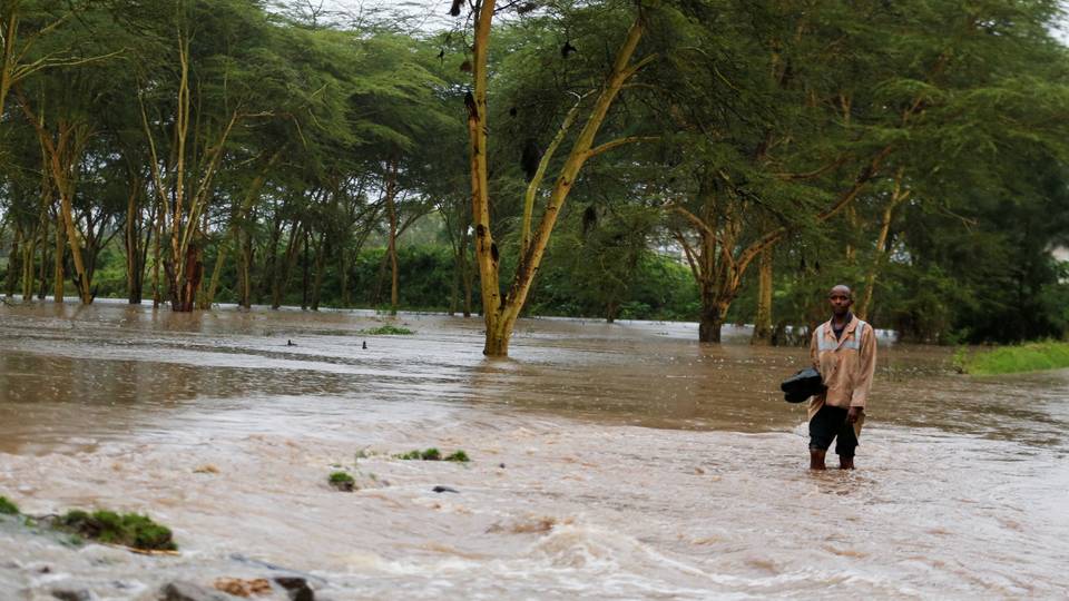 Kenya floods: Museum denies pythons, crocodiles on the loose